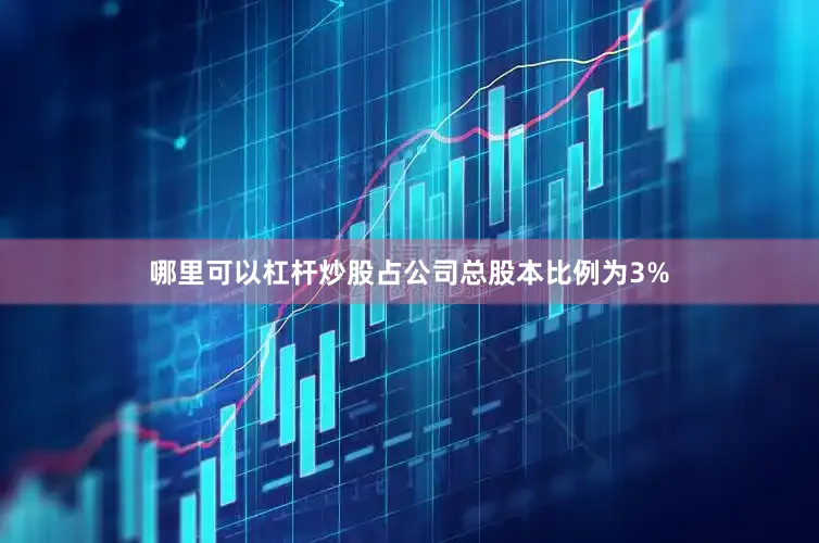 哪里可以杠杆炒股占公司总股本比例为3%