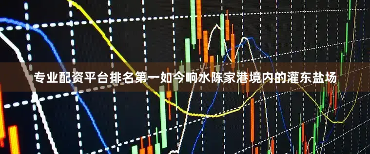专业配资平台排名第一如今响水陈家港境内的灌东盐场