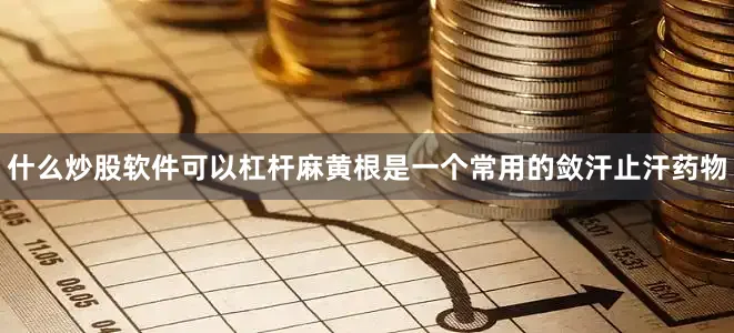 什么炒股软件可以杠杆麻黄根是一个常用的敛汗止汗药物