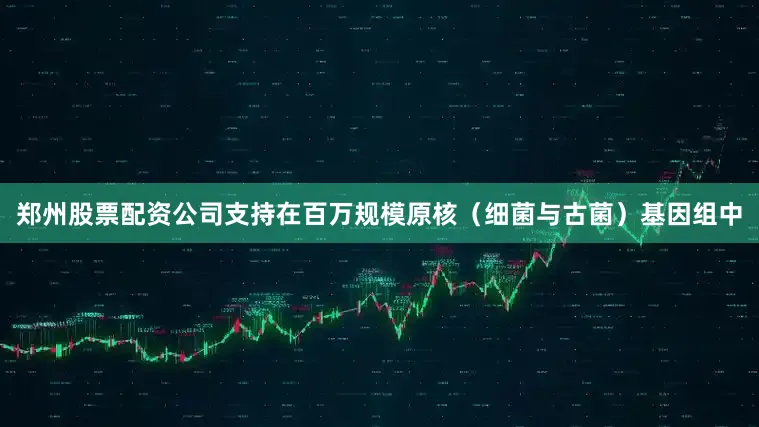郑州股票配资公司支持在百万规模原核（细菌与古菌）基因组中